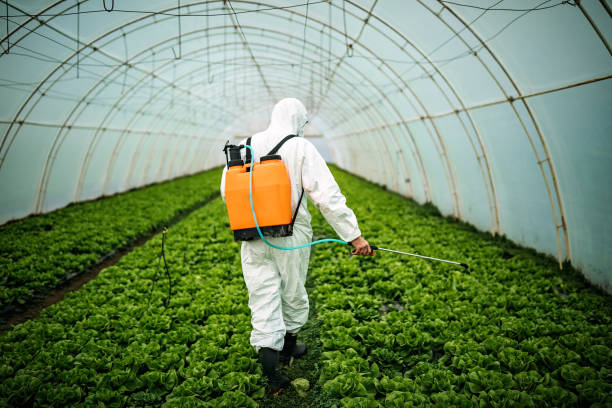 Best Mosquito Control Services  in Cedar Knolls, NJ