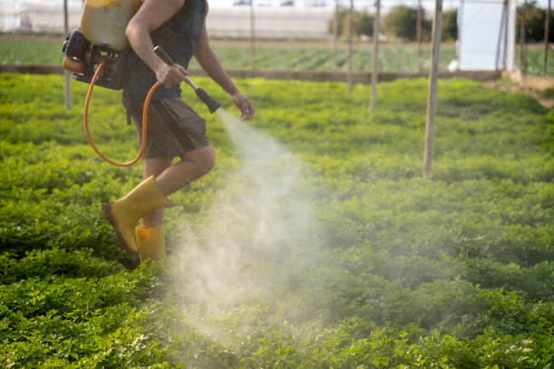 Best Affordable Pest Control Services  in Cedar Knolls, NJ