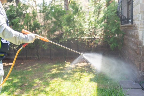Best Local Pest Control Services  in Cedar Knolls, NJ