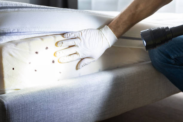 Best Rat Extermination Near Me  in Cedar Knolls, NJ