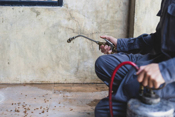 Best Best Pest Control Companies  in Cedar Knolls, NJ